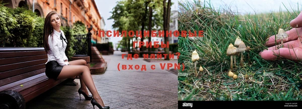 бошки Балахна