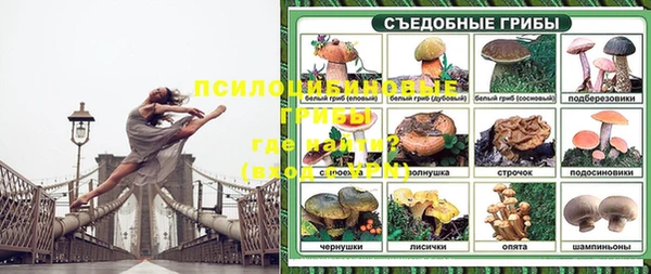 бошки Балахна