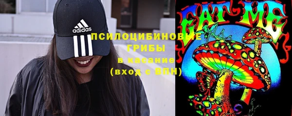 бошки Балахна