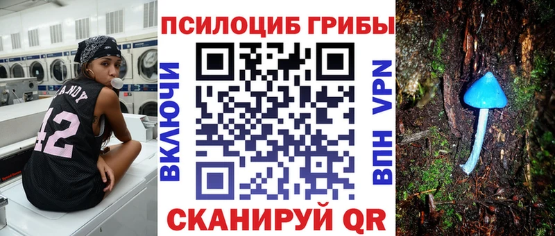 Галлюциногенные грибы мицелий  Губаха 